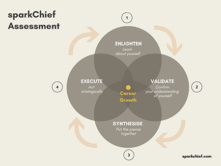 sparkChief Model